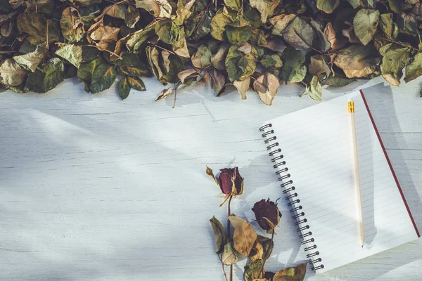 Notebook e flor de rosa seca no deck de madeira branca com spa vazio — Fotografia de Stock