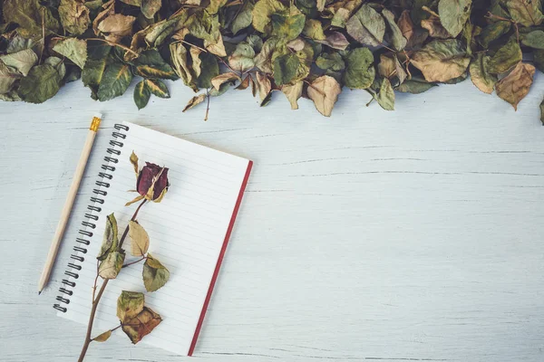 Notebook e flor de rosa seca no deck de madeira branca com spa vazio — Fotografia de Stock