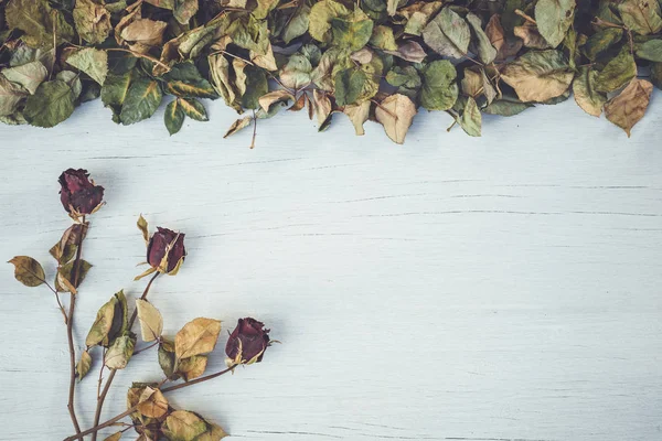 Droge rose en leaf op witte houten dek met lege ruimte voor desi — Stockfoto