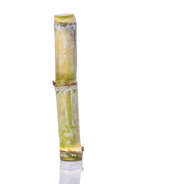 Fresh sugar cane. Studio shot isolated on white — Stock Photo, Image