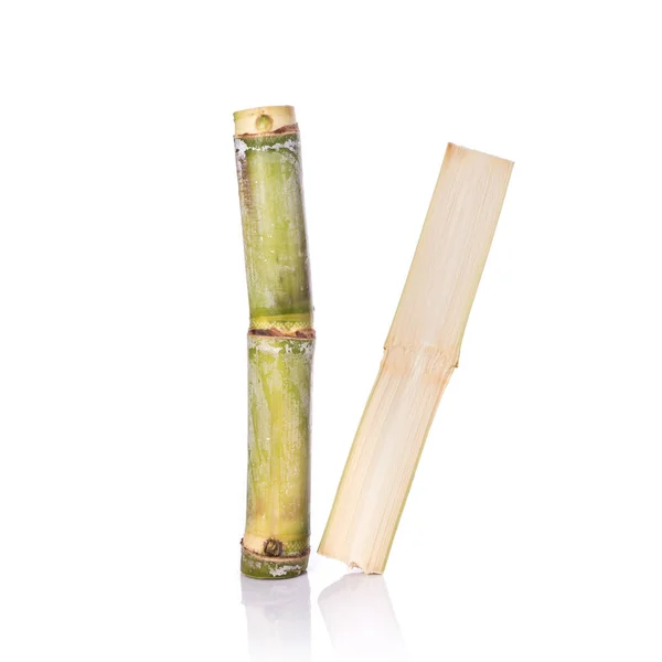 Fresh sugar cane. Studio shot isolated on white — Stock Photo, Image