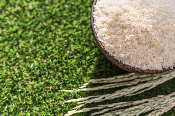 Тайский жасминовый рис в миске на зеленом фоне травы — стоковое фото