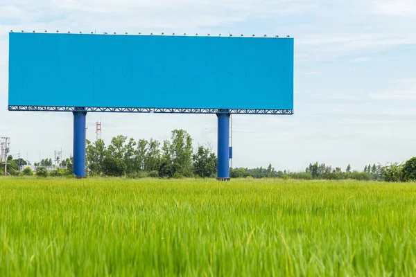 Large blue advertising billboard in green rice field. for design Stock Picture