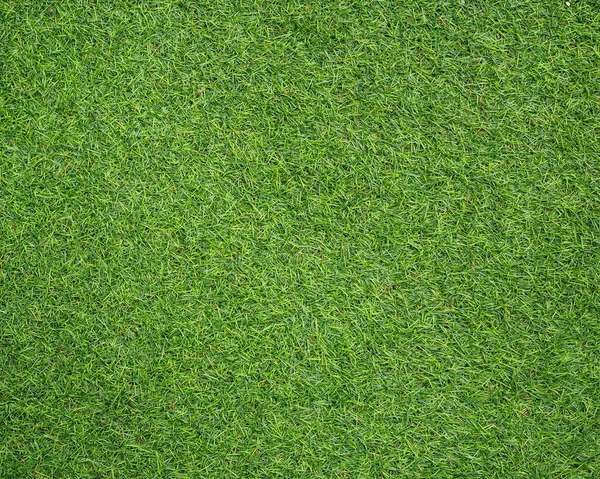 Parlak yeşil suni çim arka plan ve tasarım için kullanabilirsiniz.