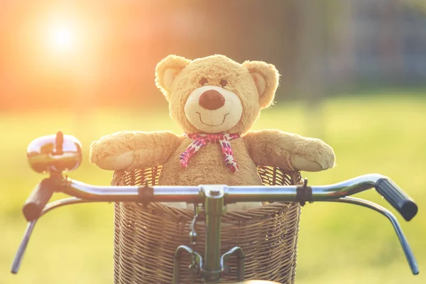 Rattan sepet gree vintage bisiklet üzerinde güzel kahverengi ayıcık