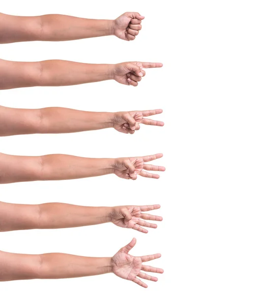 Set van menselijke hand collectie tonen van nummer één tot vijf geïsoleerd — Stockfoto