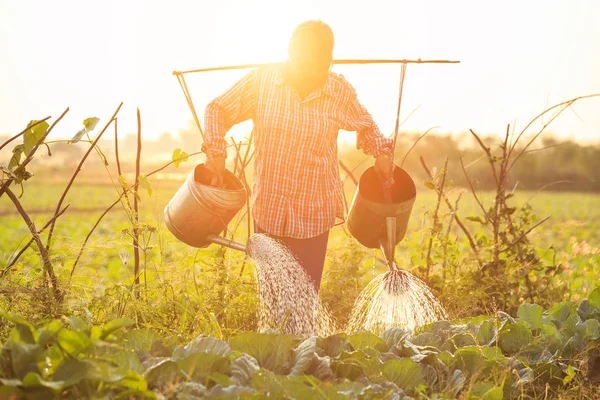 Granjero tailandés o jardinero riego en granja de verduras con riego — Foto de Stock