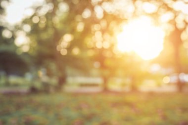 Soyut bulanıklık doğa güneş ışığı ile bokeh ve lens flare doğurur