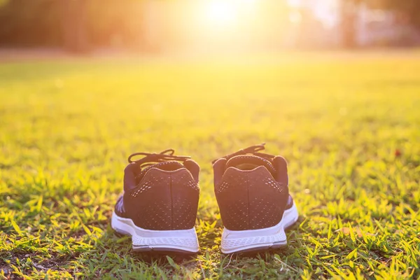 Nuevos pares de zapatillas / zapatillas de deporte negras sobre hierba verde — Foto de Stock