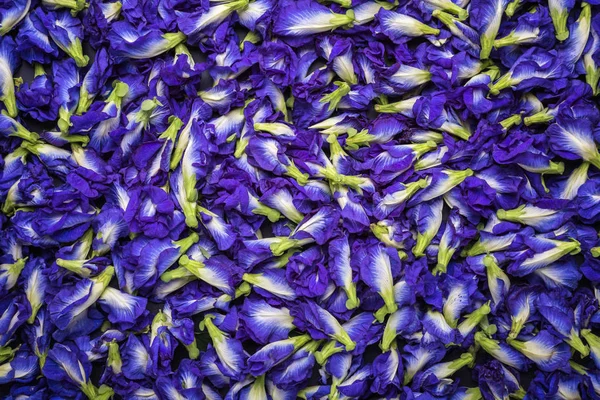 Vista dall'alto fresco viola Farfalla pisello fiore su tavola di pietra nera — Foto Stock