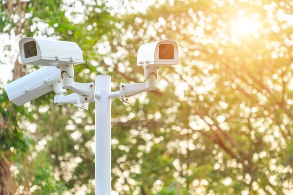 Cctv bewakingscamera geïnstalleerd in het park bij openbare ruimte op blu — Stockfoto