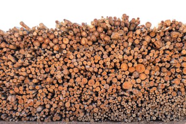 İnşaat binaları için okaliptüs ağacı ya da odun kütüğü