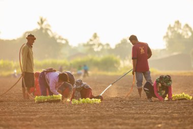 Sukhothai, Tayland - 1 Aralık 2019 Kimliği belirsiz grup