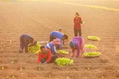 Sukhothai, Tayland - 1 Aralık 2019 Kimliği belirsiz grup