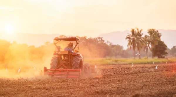 Fermier thaïlandais sur grand tracteur dans la terre pour préparer le sol — Photo