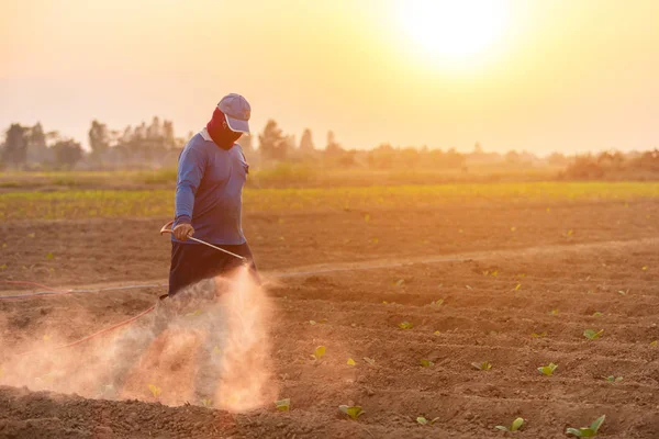 Agricultor asiático que trabaja en el campo y pulverización química o ferti — Foto de Stock