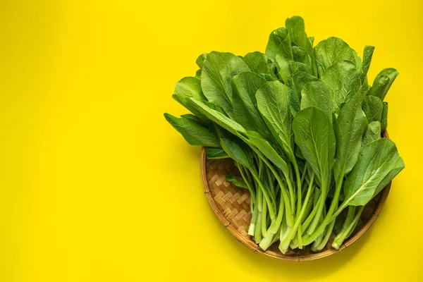 Top view green fresh bok choy or Cantonese Green Cabbage on yell — 스톡 사진