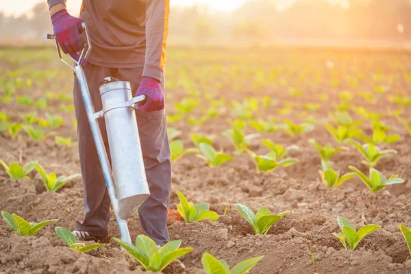 Agricultor trabajando en el campo y dando fertilizante por cavar demasiado — Foto de Stock