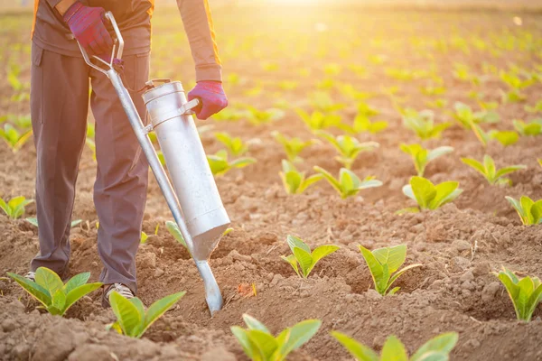 Farmář pracující na poli a dávající hnojivo kopáním příliš — Stock fotografie