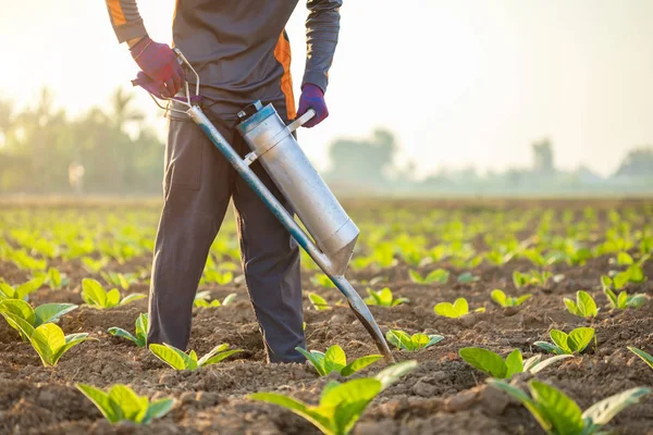 Farmer working in the field and giving fertilizer by digging too — Stock Photo, Image