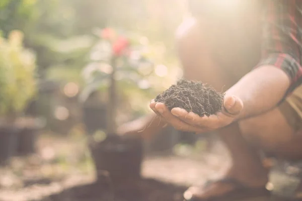 Hånd holder blandet jord for plante i hagen. Hjem og hage – stockfoto