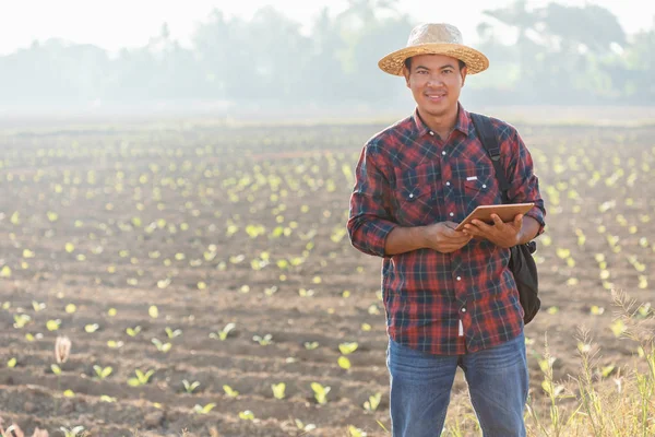 Jovem agricultor asiático ou académico que trabalha no domínio do tabaco — Fotografia de Stock