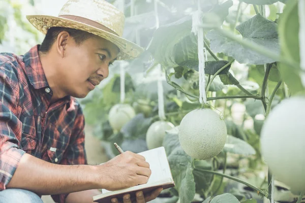 Jovem agricultor asiático ou acadêmico que trabalha na fazenda de gree jovem — Fotografia de Stock