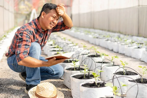 Jovem agricultor asiático ou acadêmico que trabalha na fazenda de gree jovem — Fotografia de Stock