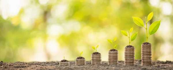 Coin stack with young green sprout on top. Business success, Fin — Stock Photo, Image