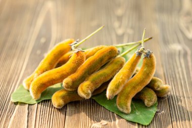 Tahta masanın üzerinde Mucuna pruriens sürüsü