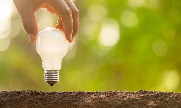 Growth or Saving Energy concept. People planting white light bul — Stock Photo, Image
