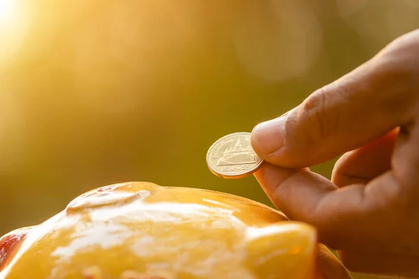 Hand put the coin to piggy bank with green nature blur backgroun — Stock Photo, Image