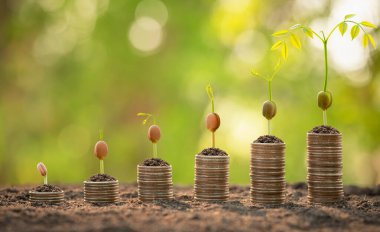 Üzerinde taze yeşil filiz olan farklı bir bozuk para yığını. İş başarısı, mali veya para yetiştirme kavramı