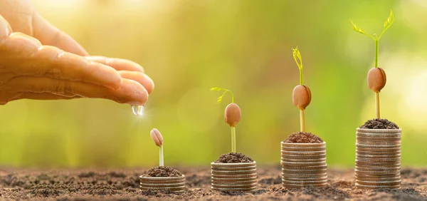 コインスタックの上に小さな木に水を与える手を閉じます ビジネスの成功 金融やお金の成長の概念 — ストック写真