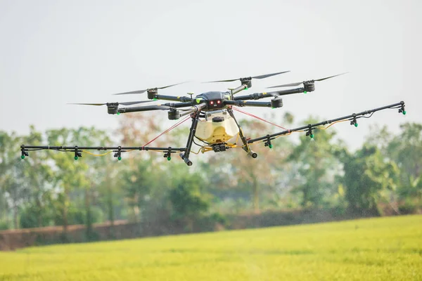 Big Agriculture Drone Flying Rice Field Sprayed Chemical Fertilizer Technology — Stock Photo, Image