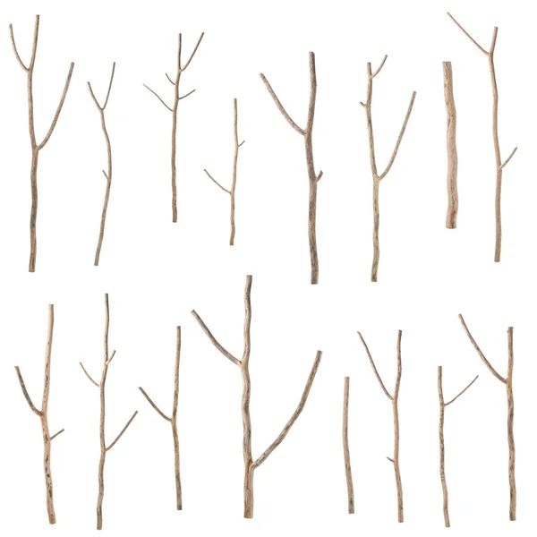 Kus Suché Větve Stromu Studio Střílet Izolované Bílém Pozadí — Stock fotografie