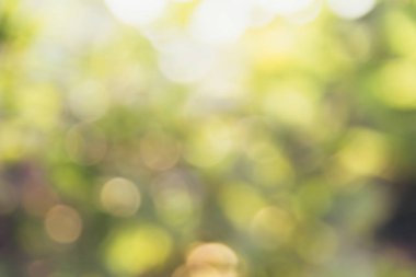 Bulanık sıcak ve yanıp sönen güneş ışığı arka planı. Odaklanamayan soyut arkaplan.