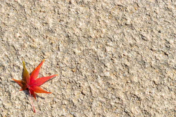 Roter Ahorn Herbstblatt Auf Dem Rauen Hintergrund — Stockfoto