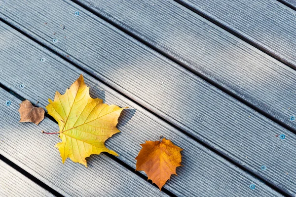 Žlutý Oranžový Hnědý Podzimní List Dřevěném Pozadí Kopírovacím Prostorem Pro — Stock fotografie