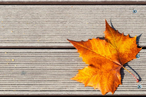 Žlutý Oranžový Podzimní List Dřevěném Pozadí Kopírovacím Prostorem Pro Váš — Stock fotografie