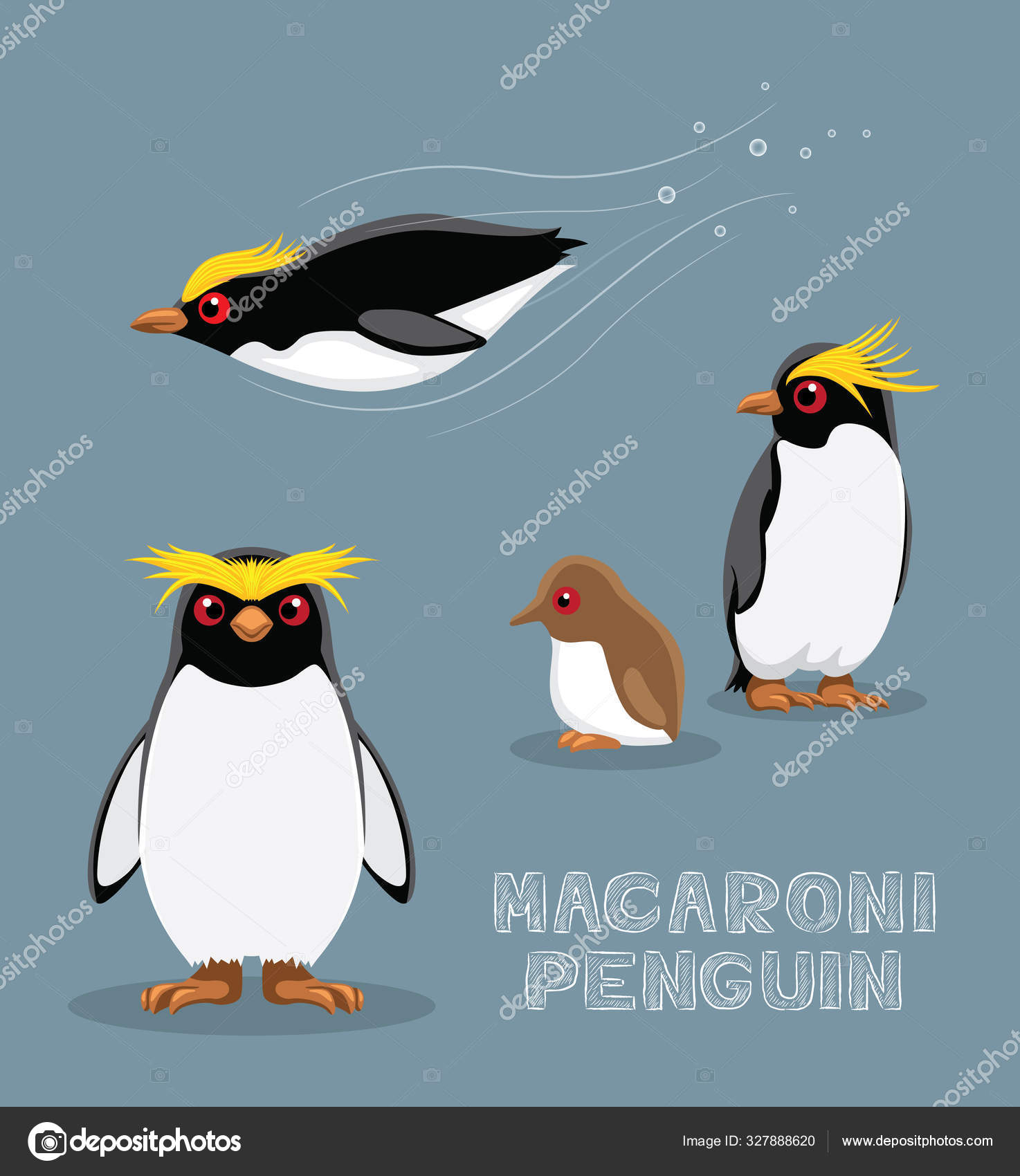 Makaroni Penguin Cartoon Vector Illustrasjon stockvektor © Punnawich  #327888620, image size:1474x1700