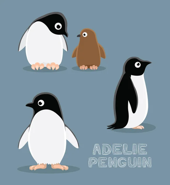 Adelie Penguin Dibujos Animados Vector Ilustración — Vector de stock