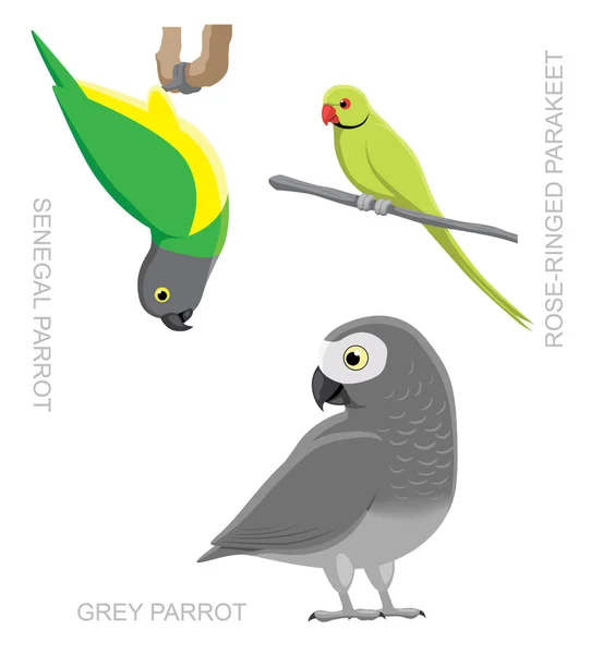 Parrot African Cartoon Vector Illustration — 스톡 벡터