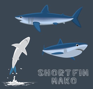Shortfin Mako Çizgi Film Vektörü İllüstrasyonu
