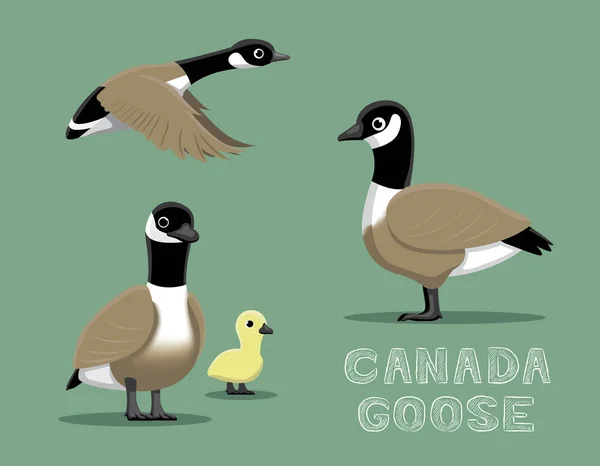 Canadá Goose Cartoon Vector Ilustração —  Vetores de Stock