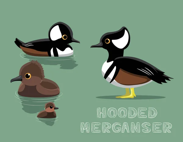 Hooded Merganser Duck Cartoon Vector Illustratie — Stockvector