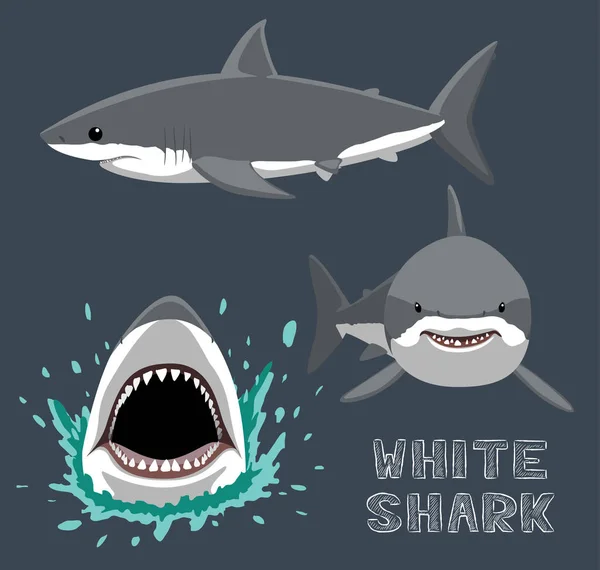 Εικονογράφηση Φορέα Λευκού Καρχαρία Κινουμένων Σχεδίων — Διανυσματικό Αρχείο