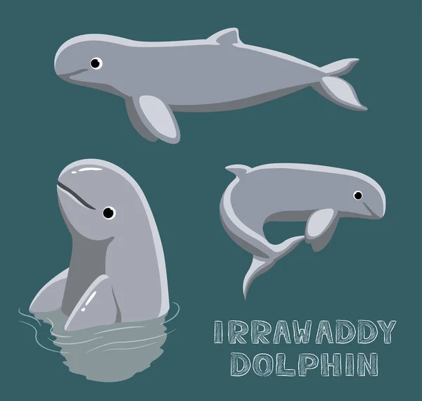 Irrawaddy Dolphin Εικονογράφηση Διάνυσμα Κινουμένων Σχεδίων — Διανυσματικό Αρχείο