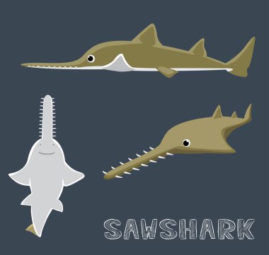 Sawshark Çizgi Filmi Vektör İllüstrasyonu