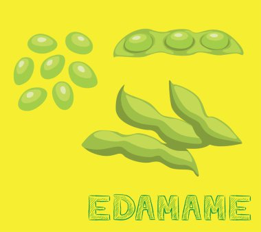 Kapalı Salon Mikroyeşil Edamame Vektör İllüstrasyonu